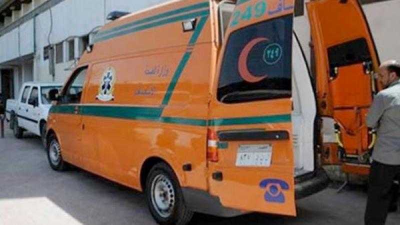 بينهم 4 أشقاء.. إصابة 5 أشخاص في انقلاب سيارة ربع نقل بأسيوط
