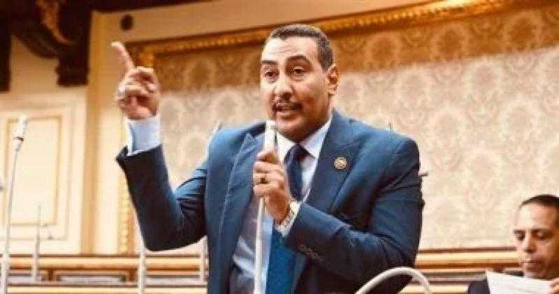 هشام النجار: أكاذيب الإخوان تستهدف النسيج الوطنى المصرى