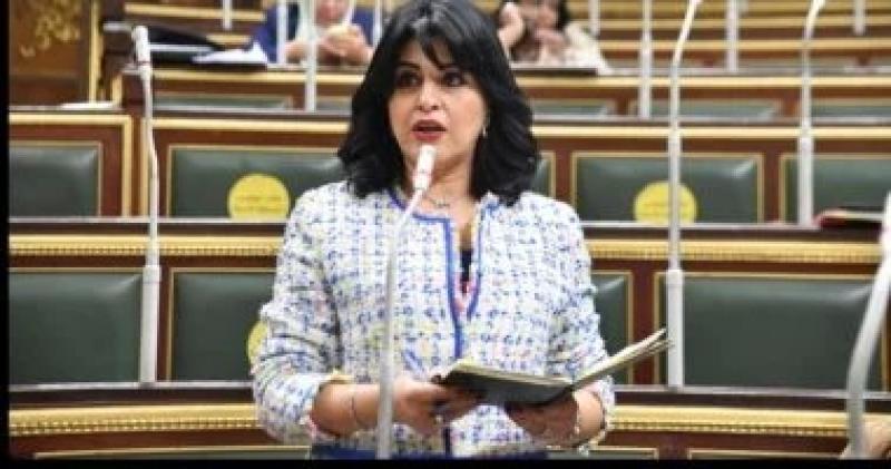 نائبة: من يريد دعم فلسطين حقًا عليه أن يقف إلى جانب الجهد المصرى الصادق