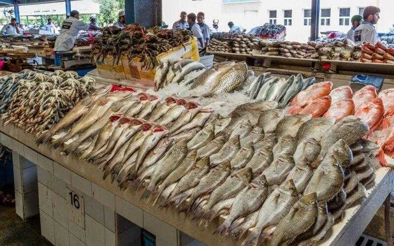 أسعار السمك والمأكولات البحرية في سوق العبور اليوم السبت 26 يوليو 2025