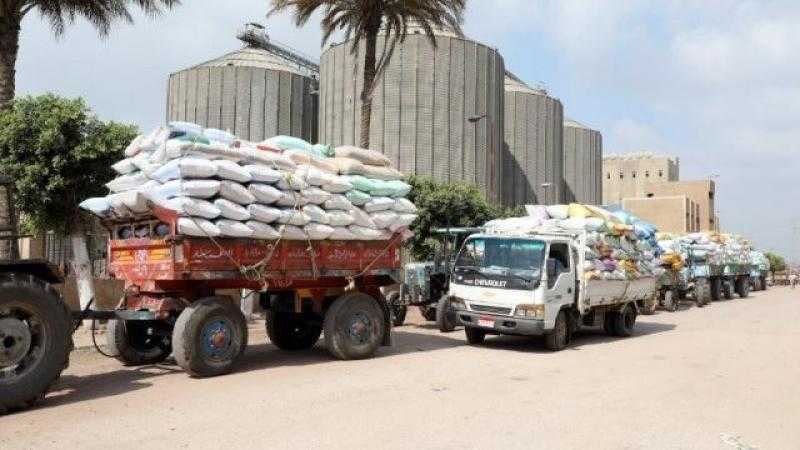 محافظ بني سويف: استلام 283 ألف و 334 طن من الأقماح المحلية