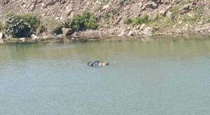 العثور على جثة سيدة متحللة داخل ترعة بالمنصورة