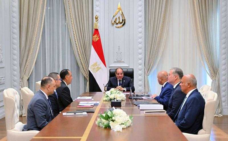 الرئيس السيسي يؤكد على أهمية مشروعات البتروكيماويات والصناعات التعدينية.. ويوجه بسرعة توطينها