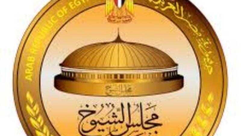 عصام شيحة: مشاركة المصريين في انتخابات مجلس الشيوخ خطوة في صناعة القرار