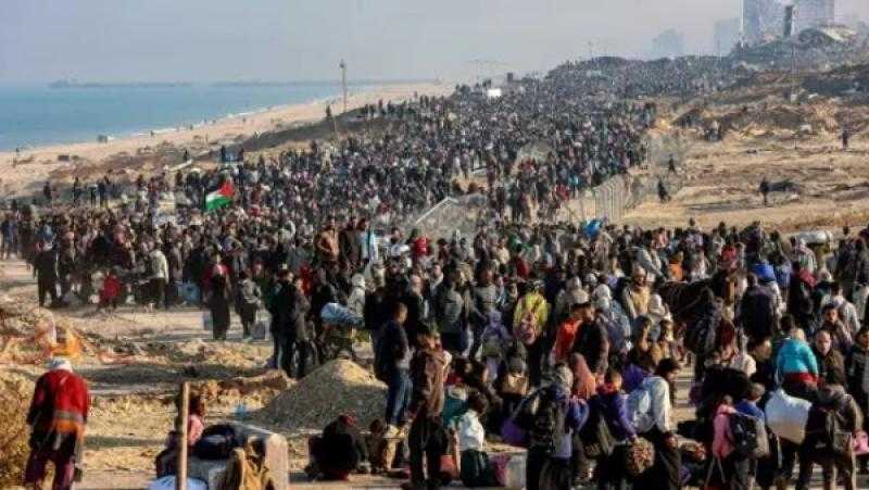 زكي القاضي: مصر تتحرك بقوة لدعم غزة وتتصدى لمحاولات تهجير الفلسطينيين