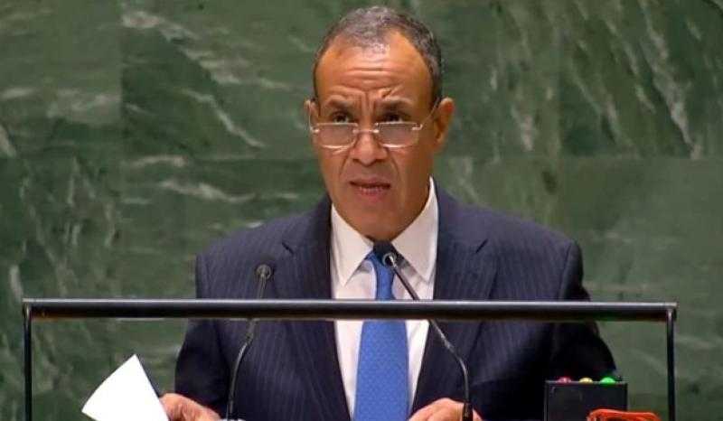 وزير الخارجية: نطالب بتنسيق المواقف الدولية للتعامل مع كوارث الاحتلال الإسرائيلي في قطاع غزة