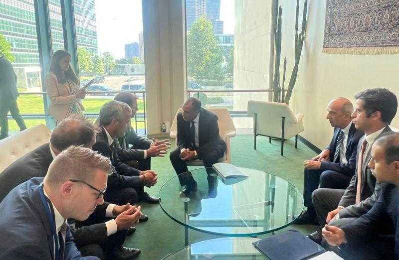 وزير الخارجية: ألمانيا تعد من أهم الشركاء السياسيين والاقتصاديين لمصر