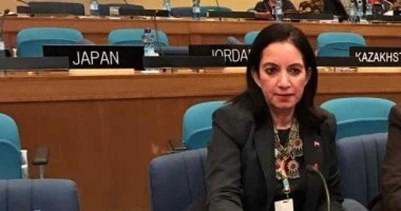 الدكتورة نهلة إمام: فوزى بجائزة الدولة للتفوق صياغة للهوية الوطنية لمصر