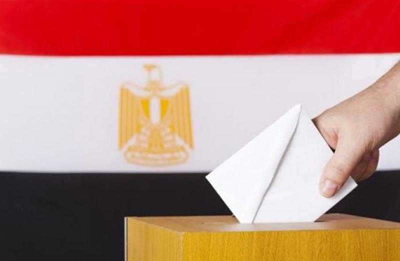فتح باب التصويت بانتخابات مجلس الشيوخ 2025 بسفارة مصر في البرازيل