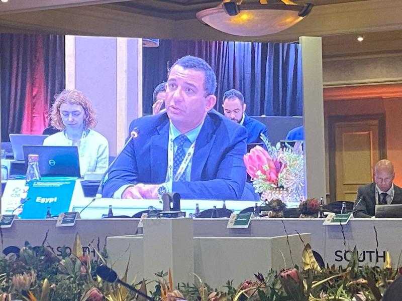 مصر تشارك في اجتماعات مجموعة العشرين بجنوب إفريقيا لبحث ملفات التجارة والاستثمار