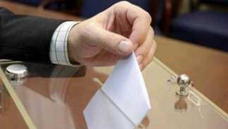 رئيس الجالية المصرية بألمانيا: انتخابات الشيوخ استحقاق دستوري وواجب