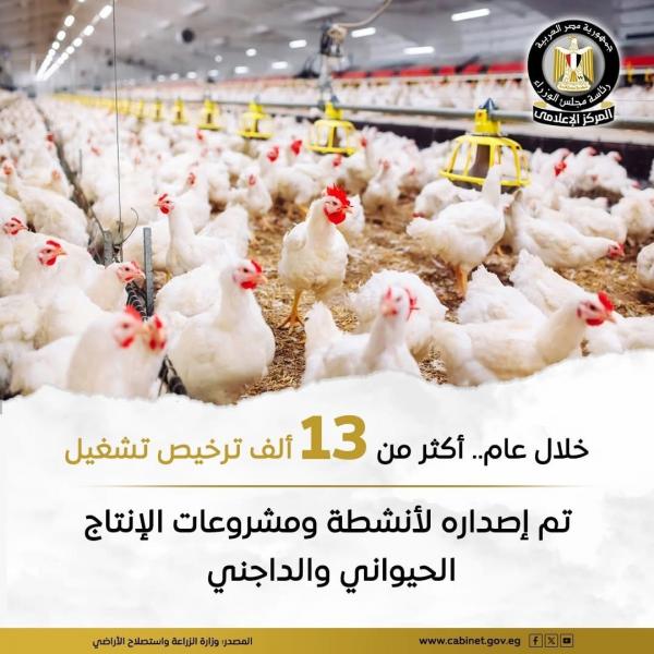 الزراعة: 6052 تصريح مزاولة نشاط تربية ماشية للمربي الصغير خلال عام