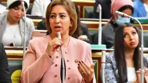 النائبة مها عبدالناصر تنتقد قطع الأشجار: إصرار على إظهار القبح