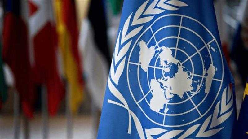 الأمم المتحدة: نثمّن الدور المصري تجاه غزة بشأن إدخال المساعدات