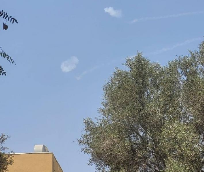 خط أحمر
