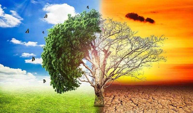 أستاذ علوم بيئية: البحث العلمي يمثل العقل المفكر