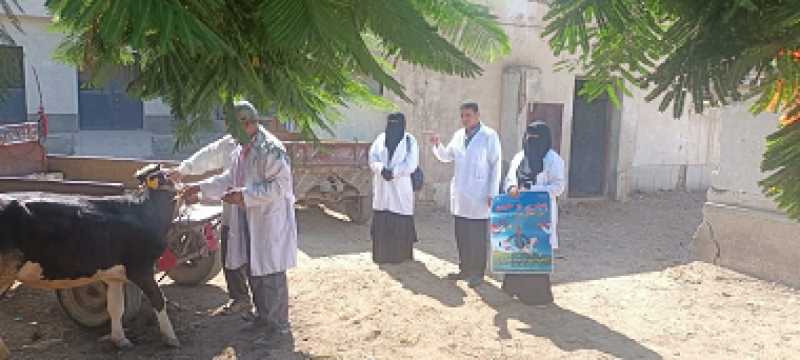محافظ كفرالشيخ يعلن انطلاق الحملة القومية للتحصين ضد فيروس الحمى القلاعية