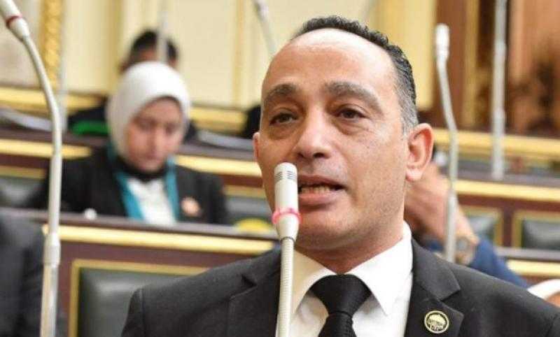 أول تحرك برلماني بسبب حرائق القليوبية