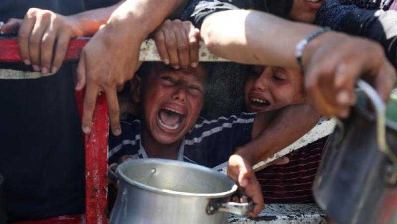 ضياء رشوان: قطاع غزة يحتاج إلى إنقاذ عاجل والأمر لا يحتمل الانتظار