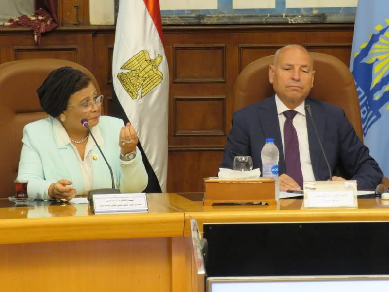 الدكتورة عبلة الألفي تؤكد أهمية انعقاد المجلس بشكل دوري كل ثلاثة أشهر لمتابعة التقدم في تحسين الخصائص السكانية ورفع جودة الحياة