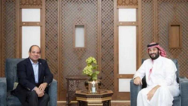 توافق مصري سعودي على رفض وجود الميليشيات المسلحة في الدول العربية