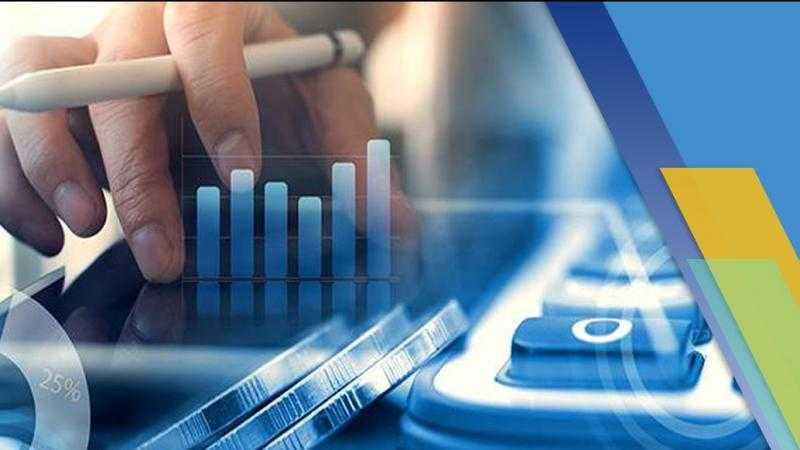 خبير اقتصادي: الحصيلة الضريبية بلغت 82% من إجمالي الإيرادات في 2024