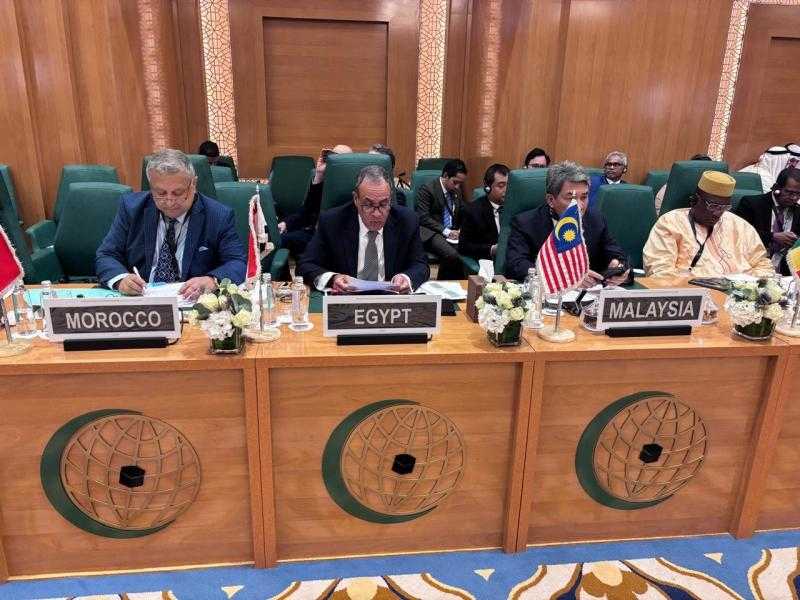 وزير الخارجية يشارك في الدورة الاستثنائية لمجلس وزراء خارجية الدول الأعضاء في منظمة التعاون الإسلامي