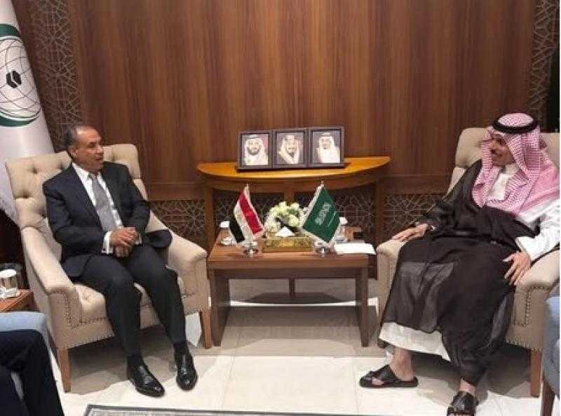 لقاء بين وزيري خارجية مصر والسعودية على هامش اجتماع منظمة التعاون الإسلامي بجدة