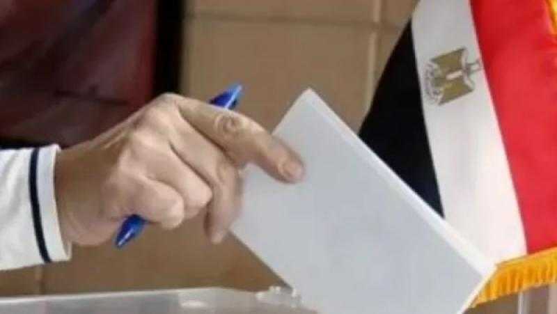 تفاصيل جولة الإعادة في انتخابات الشيوخ للمصريين بالخارج