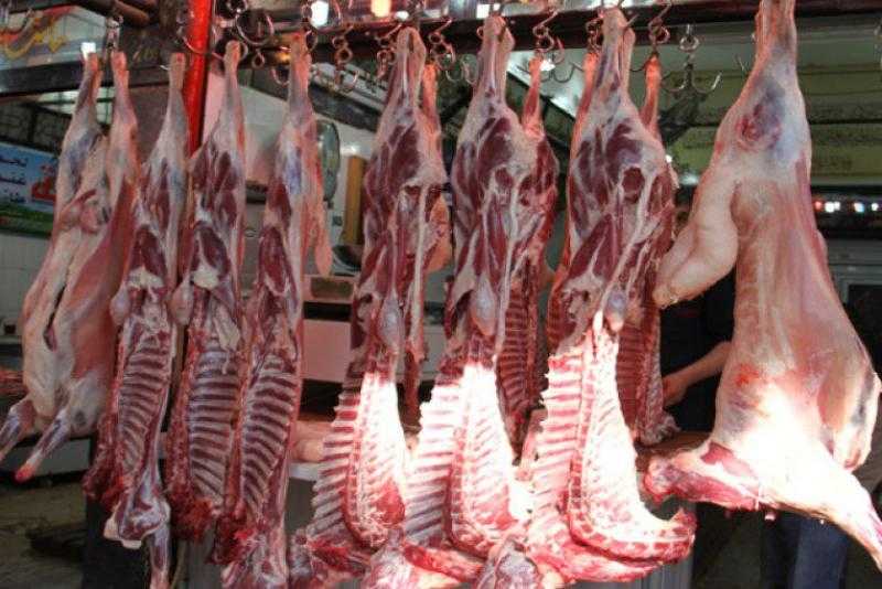 شعبة القصابين ترد على تصريح نقيب الفلاحين ببيع الكيلو القائم من اللحوم بـ300 جنيه
