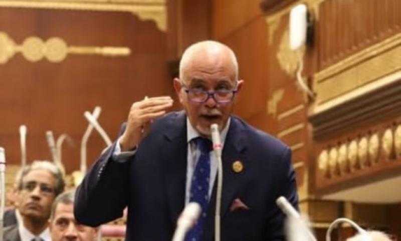 النائب حازم الجندى: مصر لا تتخلى عن أبنائها بالخارج ومستمرة في دعم الحق الفلسطينى