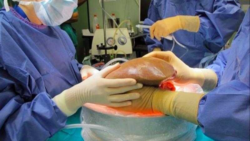 محمد عبد الوهاب: مركز زراعة الكبد هرم رابع للرئيس السيسي في مصر