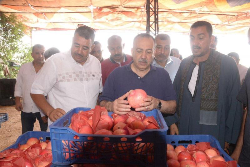 محافظ أسيوط يتفقد مواقع تجهيز وتصدير الرومان بقرية بويط بساحل سليم