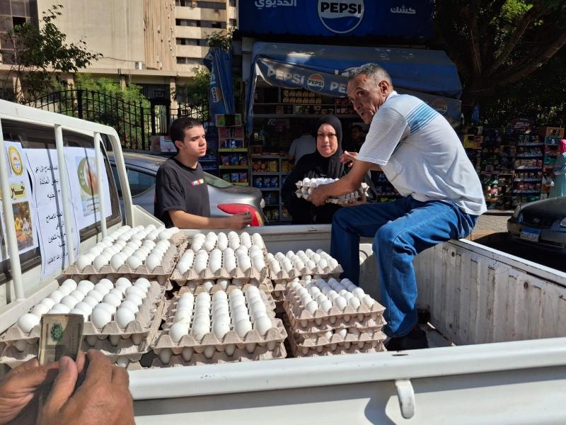 ”الزراعة” تطلق 6 منافذ متنقلة لبيع بيض المائدة بأسعار مخفضة بالقاهرة والجيزة