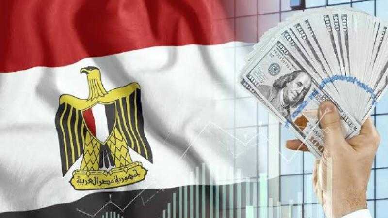 خبير اقتصادي: مصر باتت بوابة الدخول الحقيقية إلى السوق الإفريقي