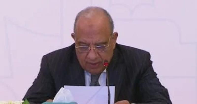 الجريدة الرسمية تنشر أسعار شحن السيارات الكهربائية من المنزل أو محطات الشحن