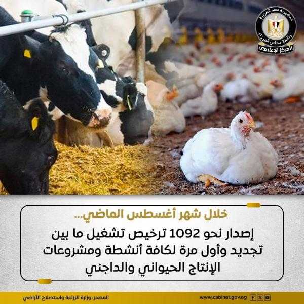 الزراعة: إصدار نحو 1092 ترخيص تشغيل ما بين تجديد وأول مرة لكافة أنشطة ومشروعات الثروة الحيوانية والعلفية والداجنة ومراكز تجميع الألبان
