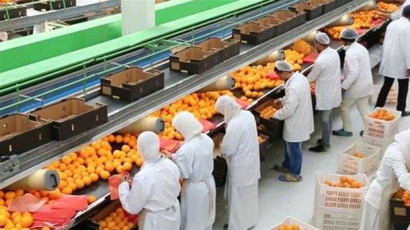 بزيادة 650 ألف طن عن 2024.. الصادرات الزراعية تحقق 7ملايين طن حاليا