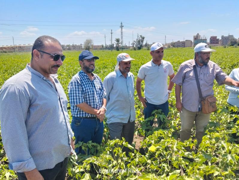 وزارة الزراعة تنفذ 1839 ندوة توعوية للمزارعين