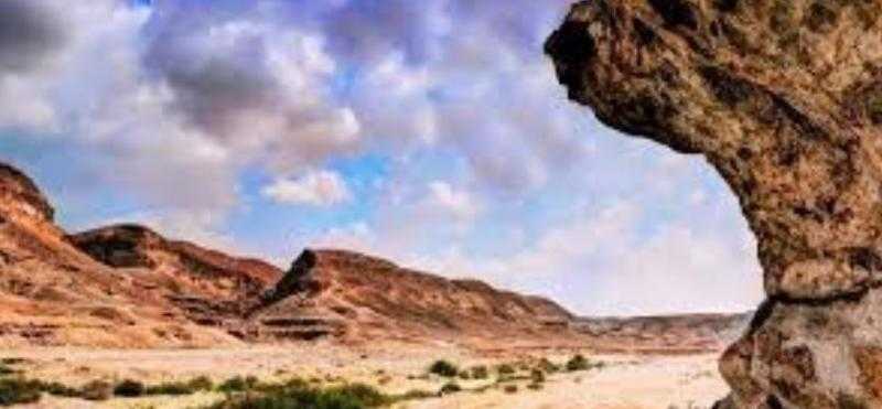 مصر تحتفل باليوم العالمي للهواء النظيف بمحمية وادي دجلة