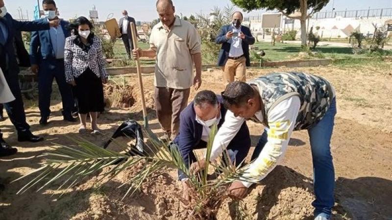 هل يجوز إخراج الزكاة لزراعة النخل والزيتون؟.. أمين الفتوى يجيب