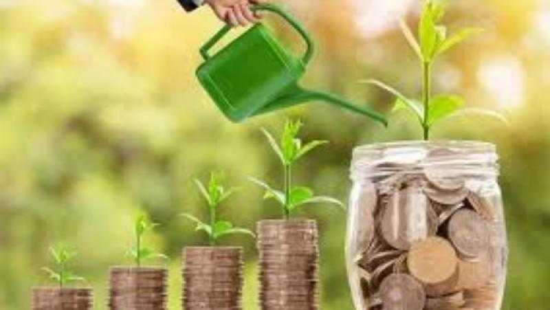 خبير اقتصادي: المشروعات متناهية الصغر المحرك الذى قد يخلق طفرة فى الفترة المقبلة