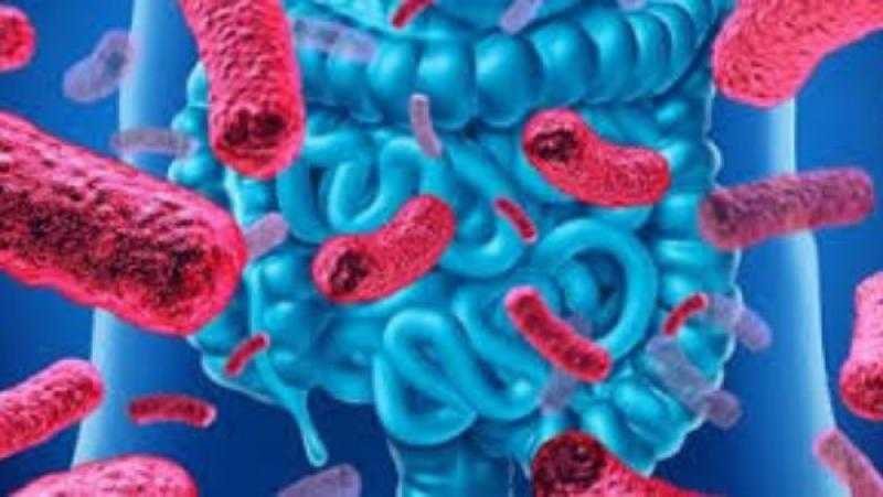 حسين خالد: لا يوجد حتى الأن مصل لعلاج السرطان