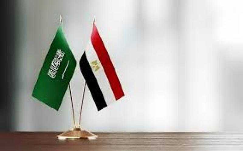 السعودية ومصر تعززان التعاون البحري.. وانضمام القاهرة لمذكرة تفاهم الرياض للرقابة على السفن