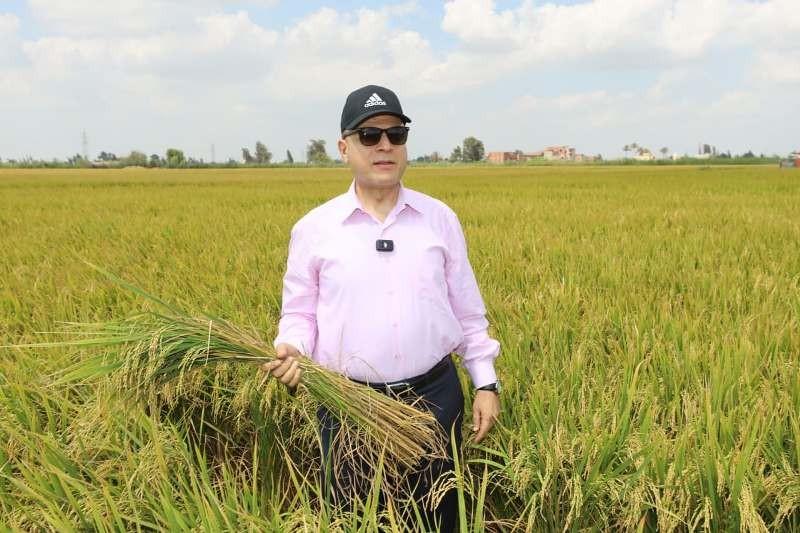 محافظ كفر الشيخ يشهد انطلاق موسم حصاد الأرز بقرية إبشان بمركز بيلا.. صور