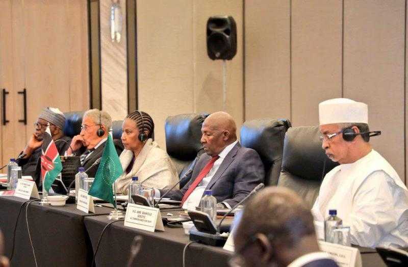 مشاركة بارزة لعمرو موسى في اجتماعات مراجعة أطر السلام والأمن الإفريقي بنيروبي