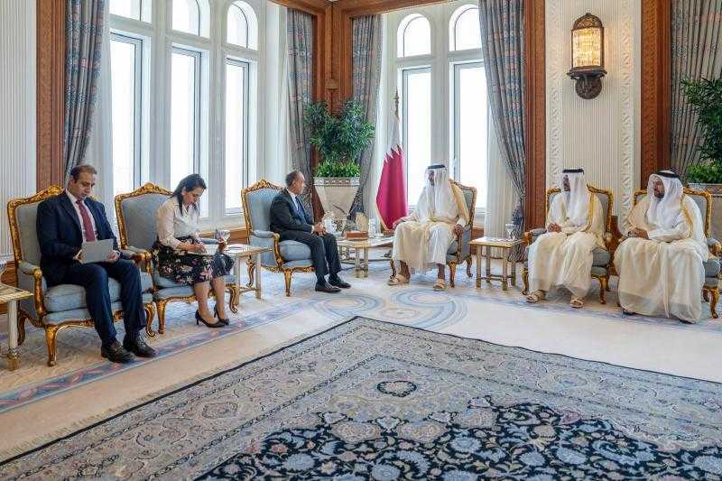 وزير الخارجية ينقل رسالة تضامن ودعم من الرئيس السيسي إلى أمير دولة قطر |صور