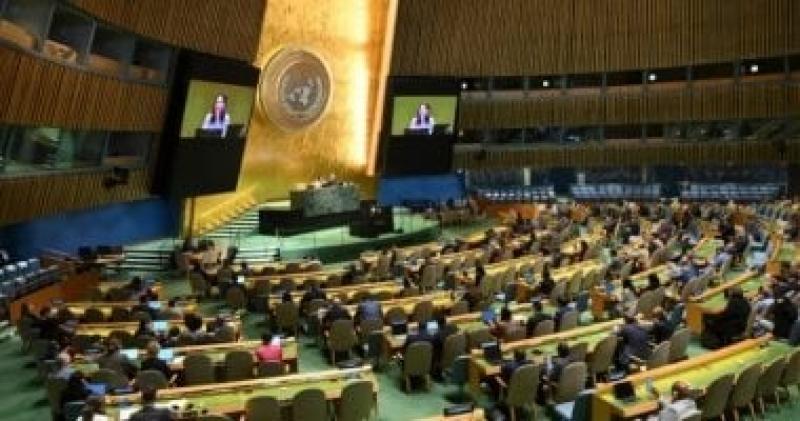 142 دولة تصوت فى الأمم المتحدة لصالح قرار يؤيد حل الدولتين.. تعرف عليهم