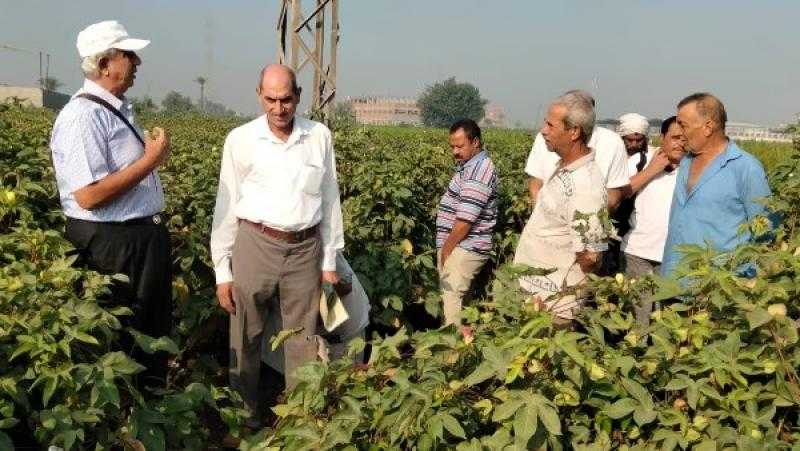 البحوث الزراعية يدعم 72 ألف مزارع بأكثر من 2800 نشاط إرشادي