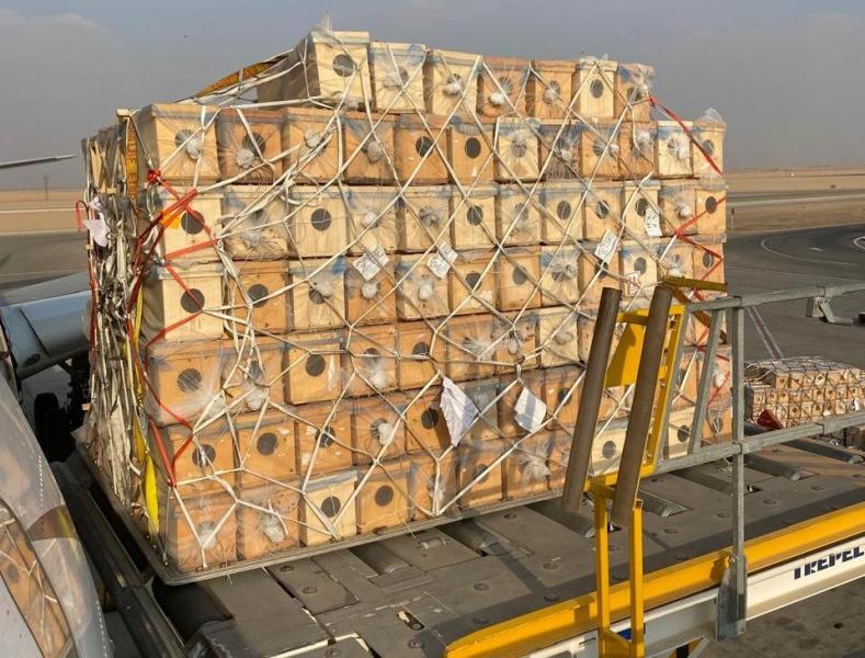 للمرة الأولى.. مصر للطيران للشحن الجوي تنقل شحنة حساسة من النحل الحي إلى السعودية